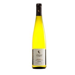 09- Alsace Riesling "Côte-de-Rouffach" BIO 2023