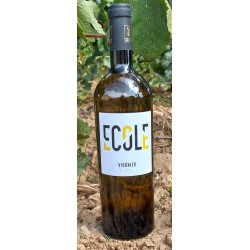 21- I.G.P. Pont du Gard blanc "Viognier du Maître" 2024